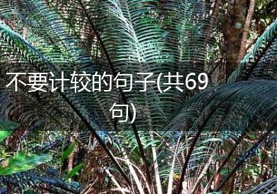 不要计较的句子(共69句)