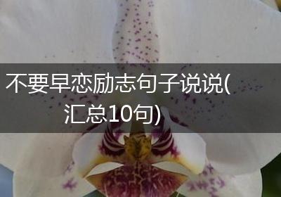 不要早恋励志句子说说(汇总10句)