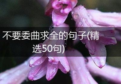 不要委曲求全的句子(精选50句)