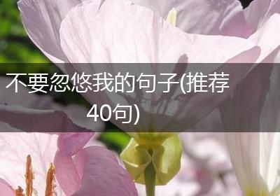 不要忽悠我的句子(推荐40句)