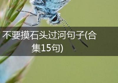 不要摸石头过河句子(合集15句)