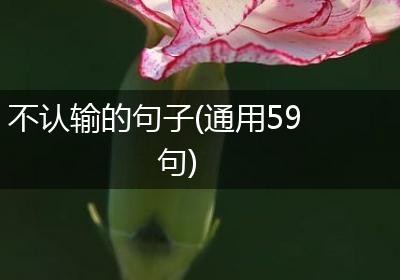 不认输的句子(通用59句)