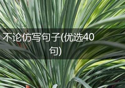 不论仿写句子(优选40句)