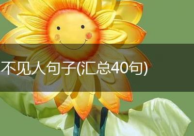 不见人句子(汇总40句)
