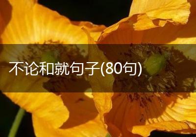 不论和就句子(80句)