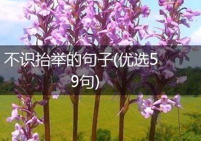 不识抬举的句子(优选59句)