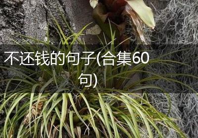 不还钱的句子(合集60句)