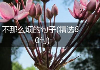 不那么烦的句子(精选60句)