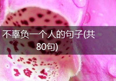 不辜负一个人的句子(共80句)