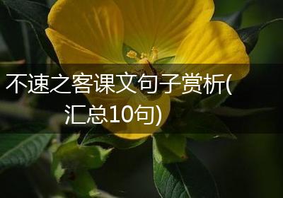 不速之客课文句子赏析(汇总10句)