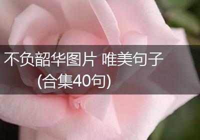 不负韶华图片 唯美句子(合集40句)