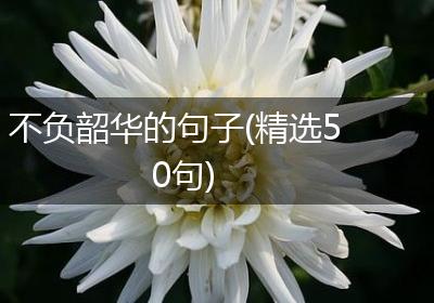 不负韶华的句子(精选50句)
