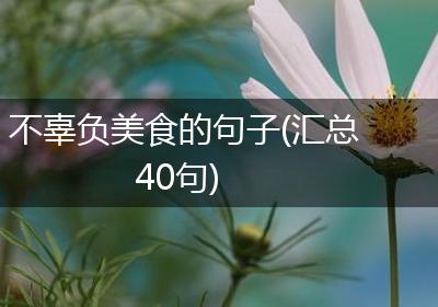 不辜负美食的句子(汇总40句)