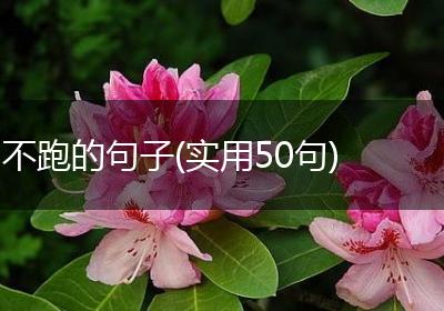 不跑的句子(实用50句)