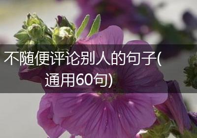 不随便评论别人的句子(通用60句)