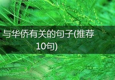 与华侨有关的句子(推荐10句)