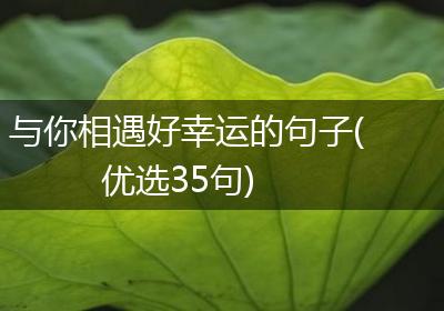与你相遇好幸运的句子(优选35句)