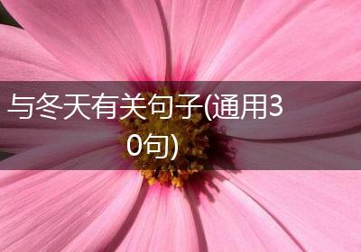 与冬天有关句子(通用30句)