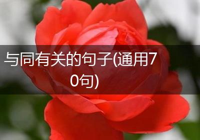 与同有关的句子(通用70句)