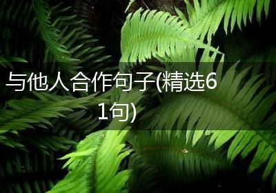 与他人合作句子(精选61句)