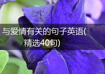 与爱情有关的句子英语(精选40句)