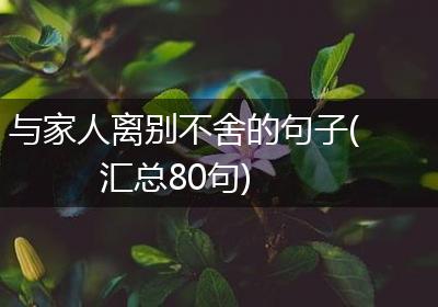 与家人离别不舍的句子(汇总80句)