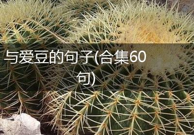 与爱豆的句子(合集60句)
