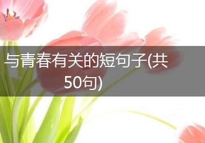 与青春有关的短句子(共50句)