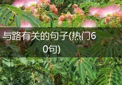 与路有关的句子(热门60句)