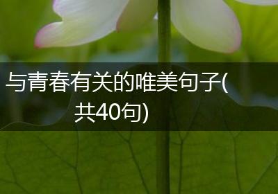 与青春有关的唯美句子(共40句)