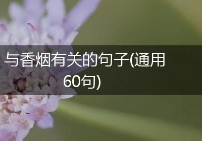 与香烟有关的句子(通用60句)