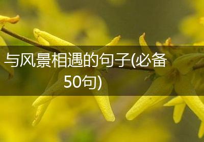 与风景相遇的句子(必备50句)