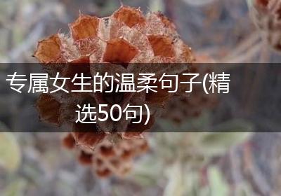 专属女生的温柔句子(精选50句)