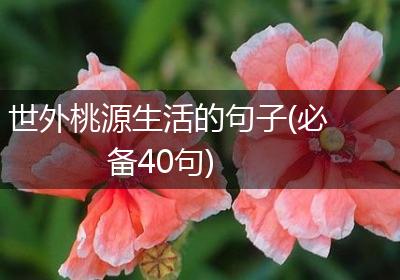 世外桃源生活的句子(必备40句)