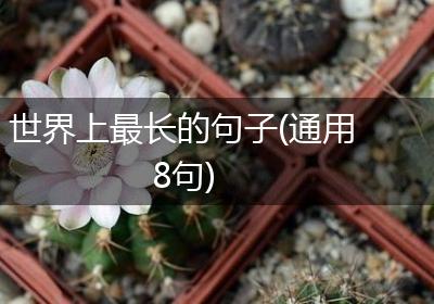 世界上最长的句子(通用8句)
