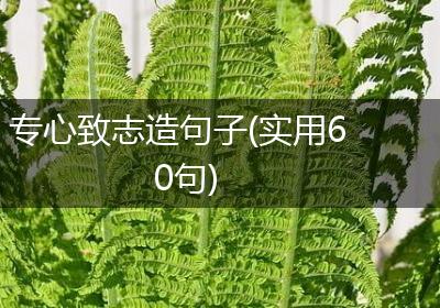 专心致志造句子(实用60句)