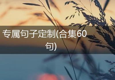 专属句子定制(合集60句)