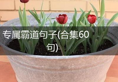 专属霸道句子(合集60句)