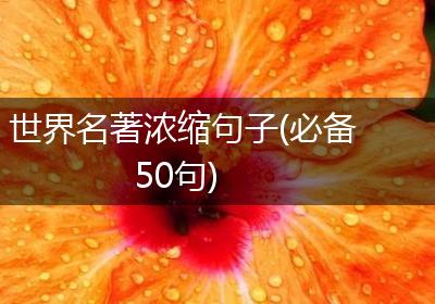 世界名著浓缩句子(必备50句)