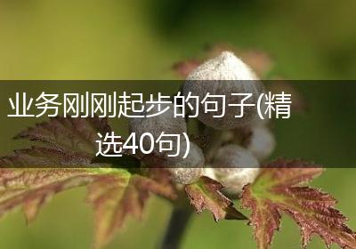 业务刚刚起步的句子(精选40句)