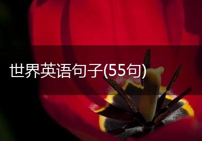 世界英语句子(55句)