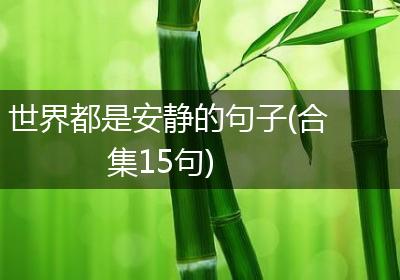 世界都是安静的句子(合集15句)