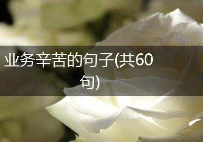 业务辛苦的句子(共60句)
