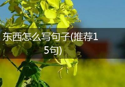 东西怎么写句子(推荐15句)