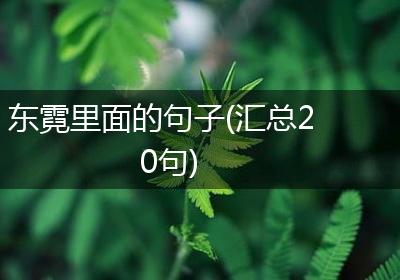 东霓里面的句子(汇总20句)