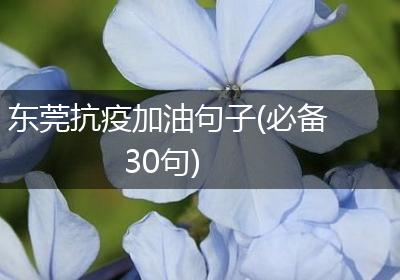 东莞抗疫加油句子(必备30句)