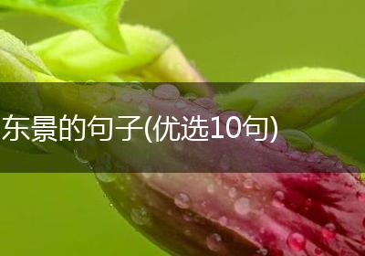 东景的句子(优选10句)