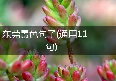 东莞景色句子(通用11句)