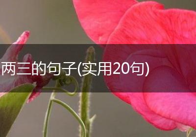 两三的句子(实用20句)