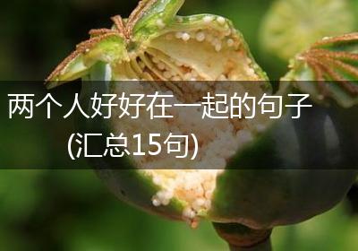 两个人好好在一起的句子(汇总15句)